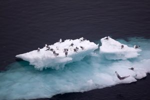 United States announces future withdrawal from Paris Agreement on climate change